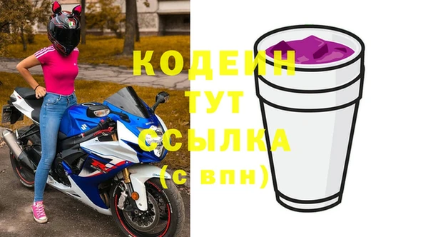 МДПВ Вяземский